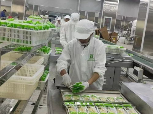 云南永善七彩食品投產(chǎn)運(yùn)營獲《中國食品安全報》關(guān)注 食品安全與特色經(jīng)營的雙贏之路