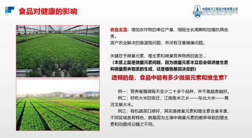 跨越隱形饑餓，點(diǎn)亮健康未來 硒鍶硅鋅營養(yǎng)健康食品項(xiàng)目與生態(tài)旅游開發(fā)協(xié)同發(fā)展計(jì)劃